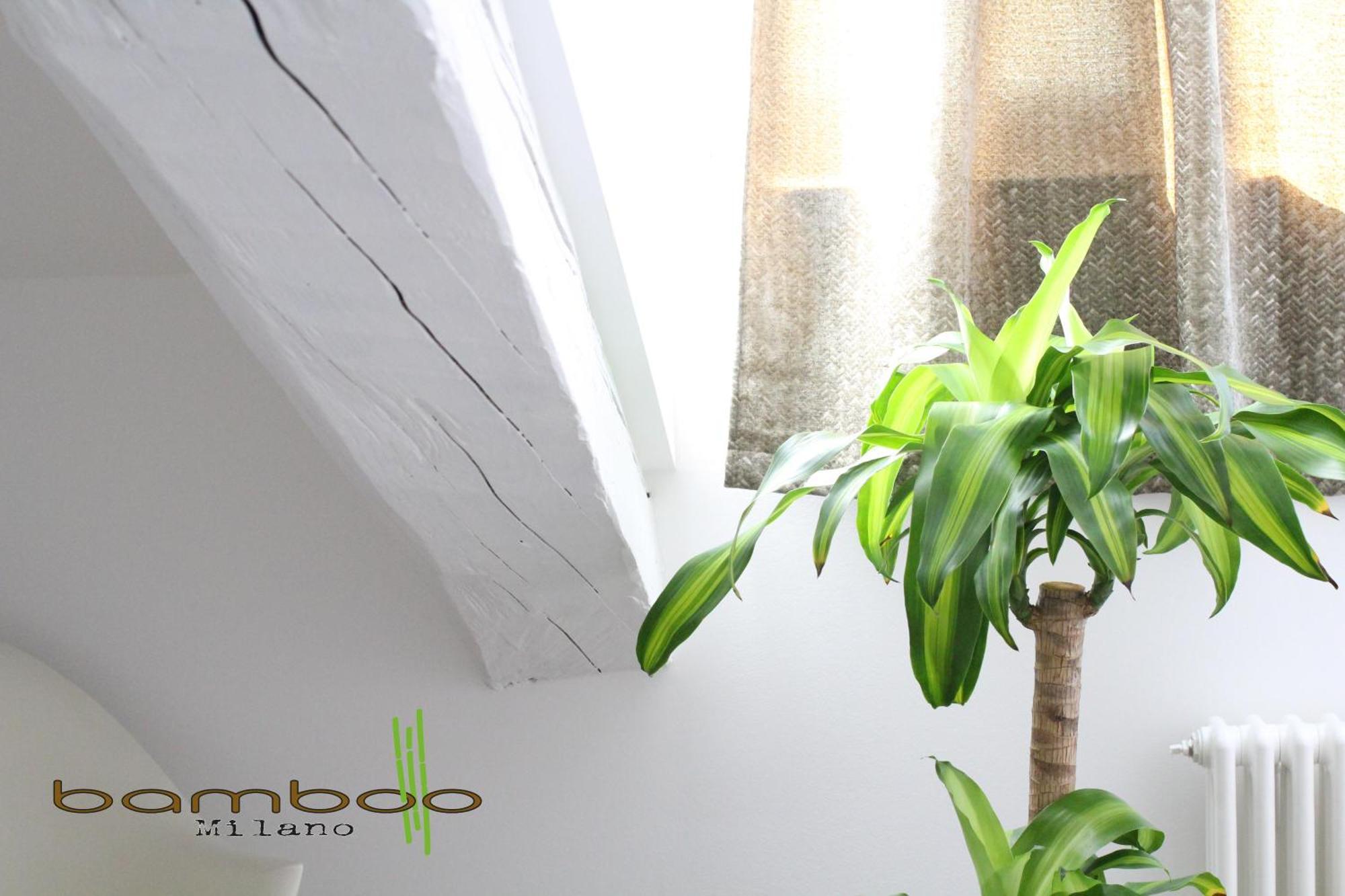Ferienwohnung Bamboo Milano Isonzo Exterior foto